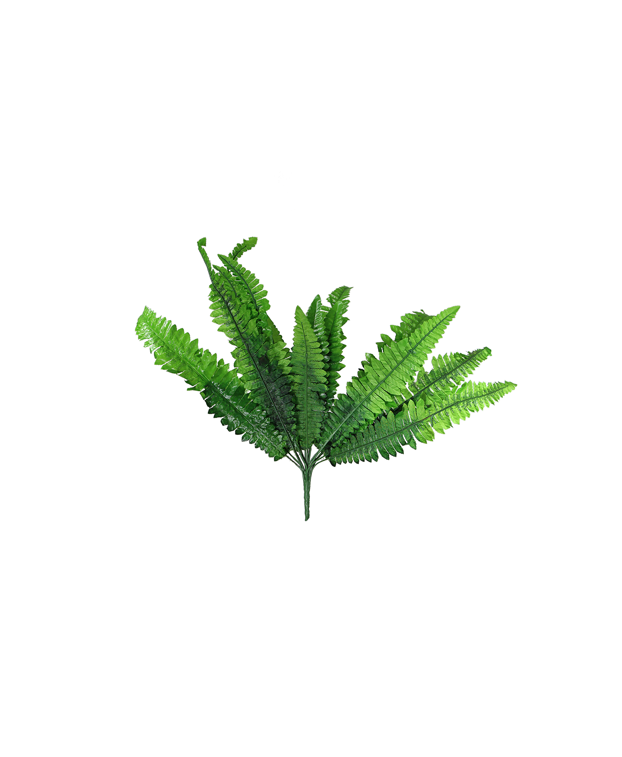 DP-D017 DP-D017