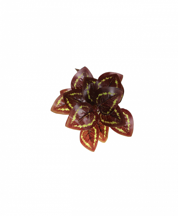 P-D001